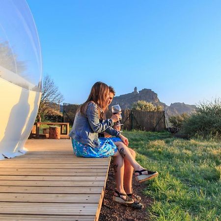 Bubbletent Canarias Finca La Isa Hotel Tejeda  Eksteriør billede